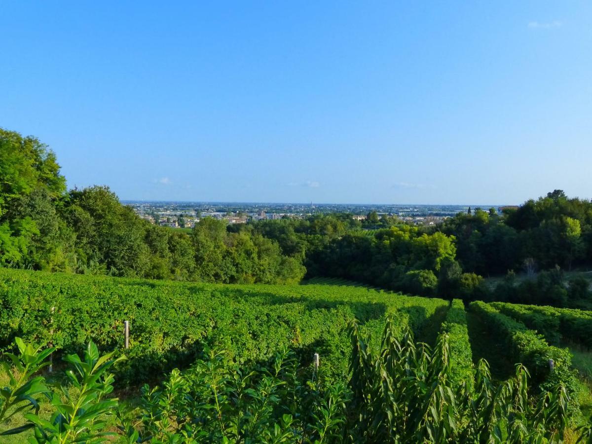 Podere Di Costabella Conegliano Buitenkant foto